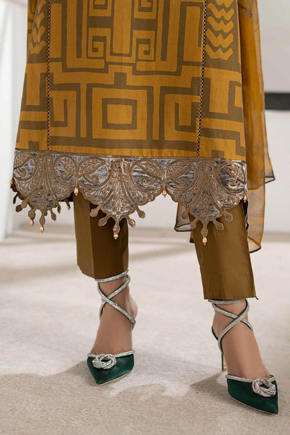 Traditional outfit with a patterned top and embroidered pants, paired with green shoes.